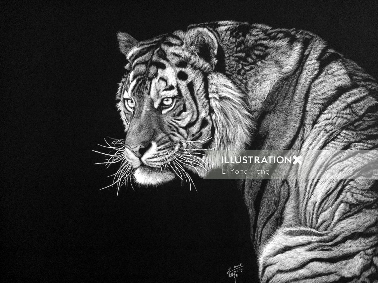 Retrato preto e branco de tigre