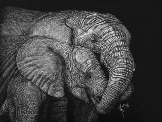 インド象の動物イラスト
