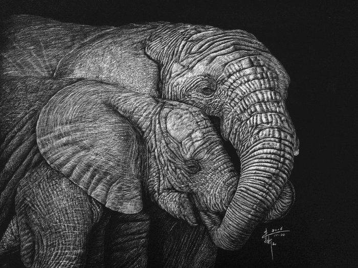 Illustration animale éléphant indien