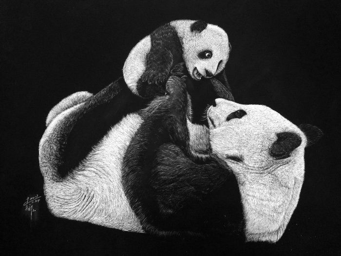Pandas love black and white illustration 