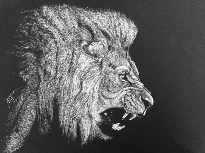 咆哮的狮子的动物插图