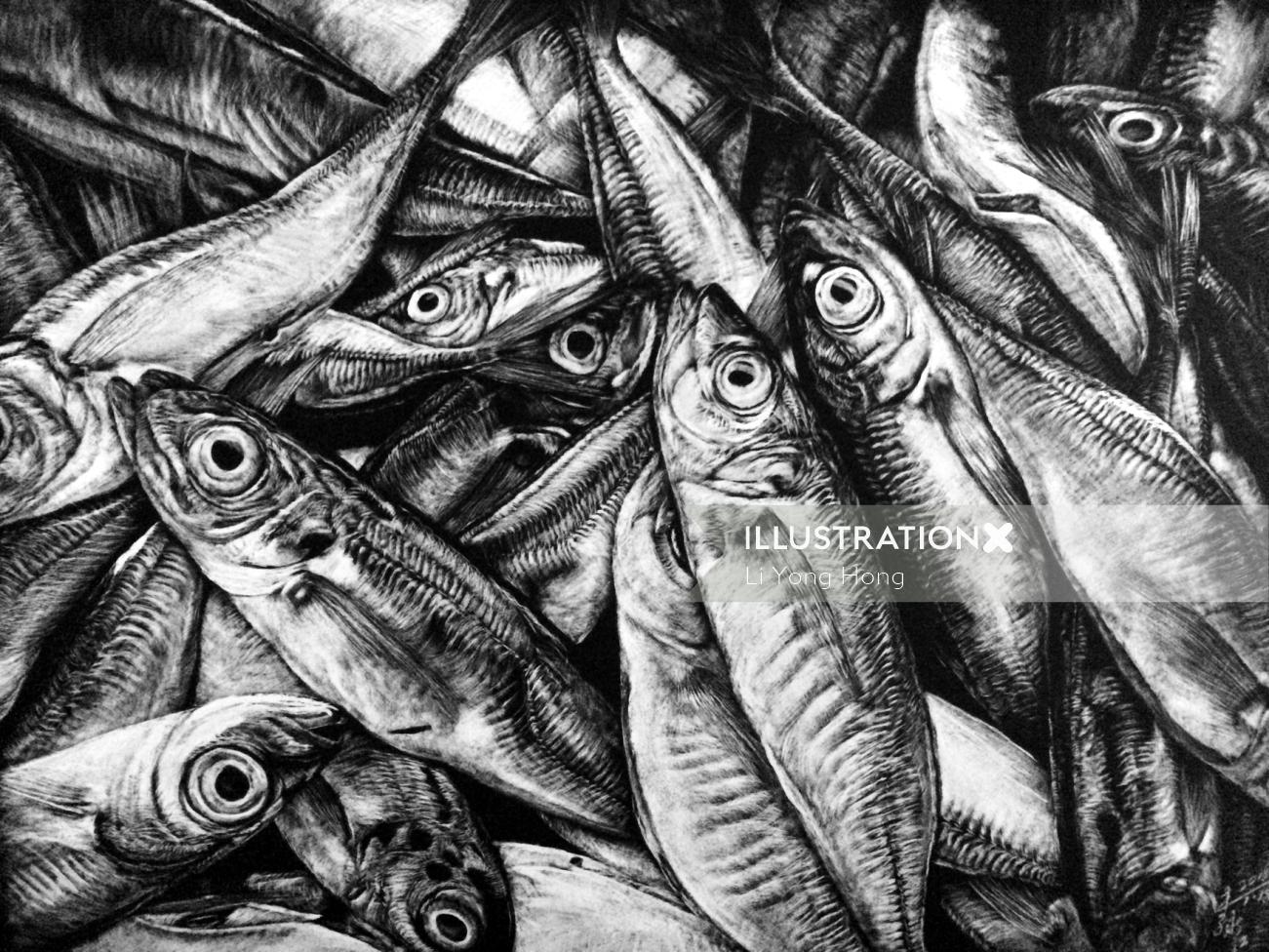 Ilustração de animais de anchova