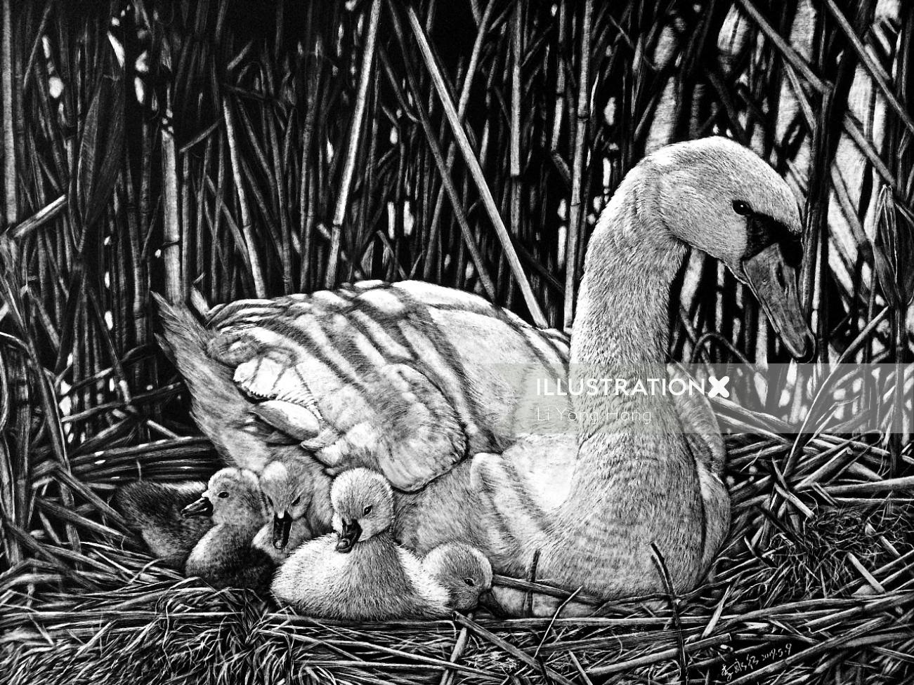 Animal illustration of Mother Duck With Babies