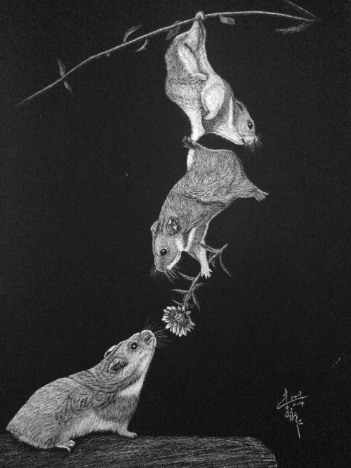 Illustration en noir et blanc de l&#39;amour de la souris