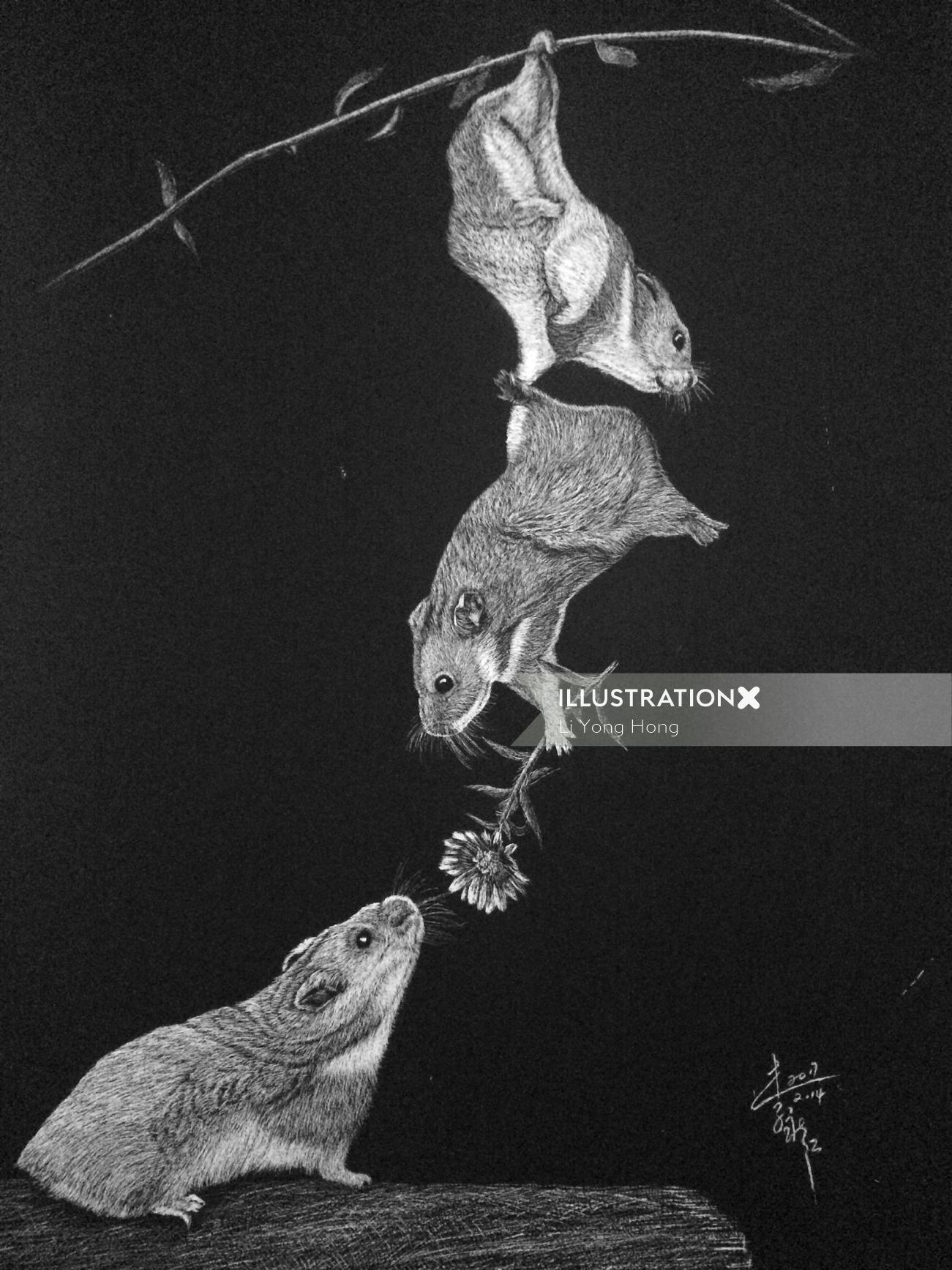 Ilustração em preto e branco do amor do rato