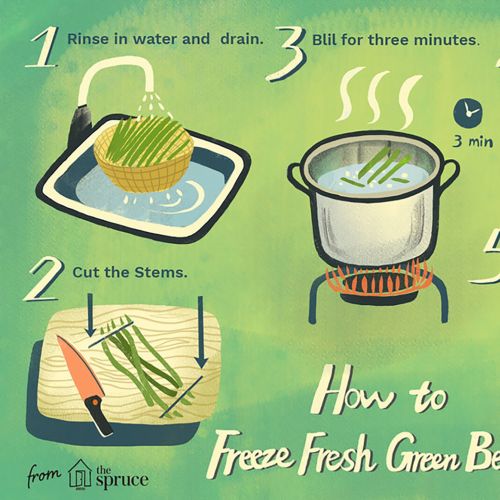 Infographic illustration that tell people how to freeze fresh green beans.