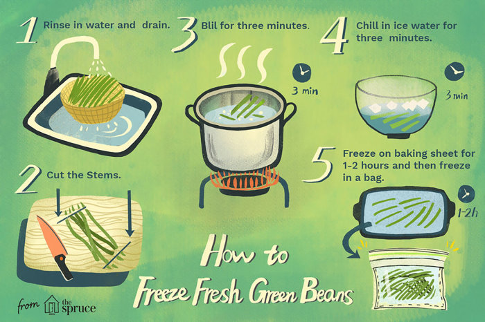 Ilustración infográfica que le dice a la gente cómo congelar judías verdes frescas.