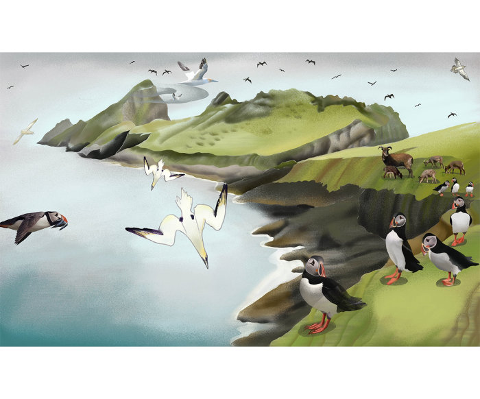 Pages illustration from my upcoming books "Islands": St Kilda, Scotland