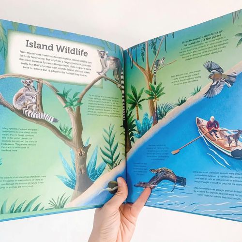 Illustrating Island Wildlife page for Island book