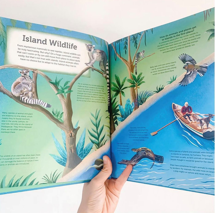 Page illustrant la faune de l'île pour le livre de l'île
