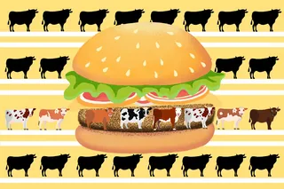 Burger with lettuce, tomato, and burger patty composed of cow images