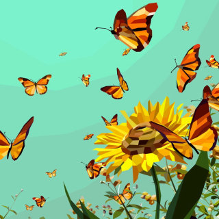 自然 - 向日葵花园里色彩缤纷的蝴蝶