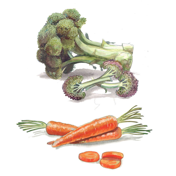 Bocolli和胡萝卜的插图