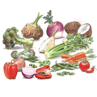 Aquarelle de légumes pour Rowdy Studios