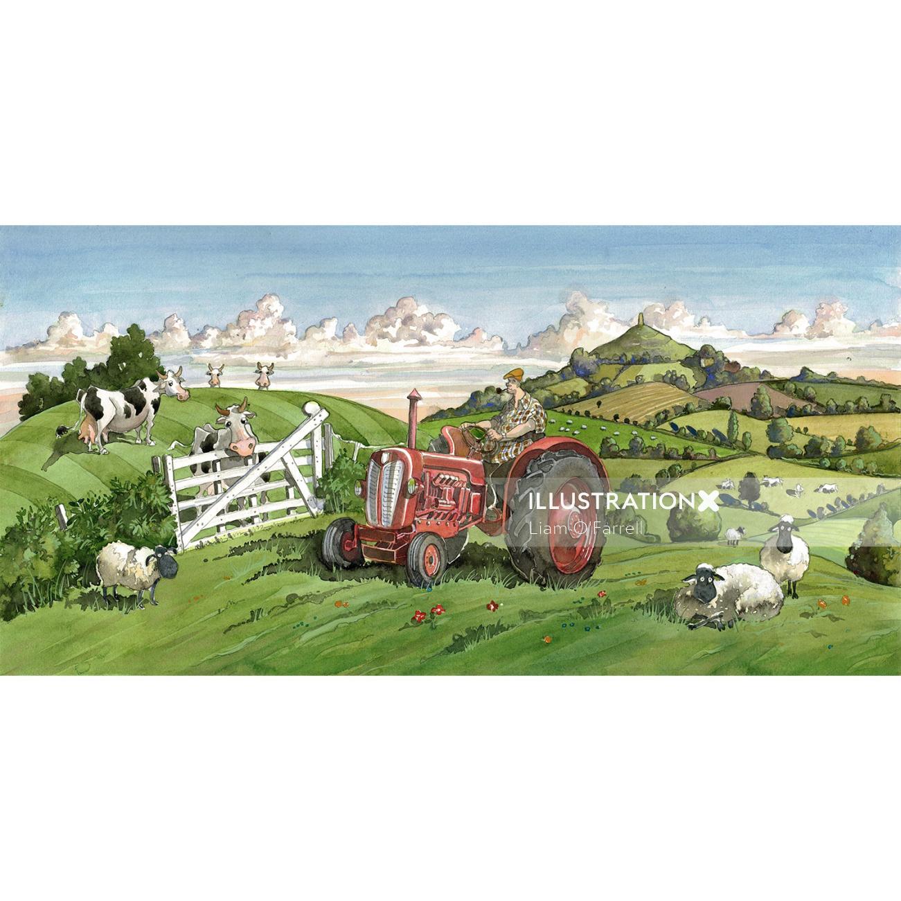 tractor, cows, farming, landscape