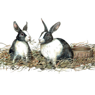 水彩と線画のウサギのイラスト