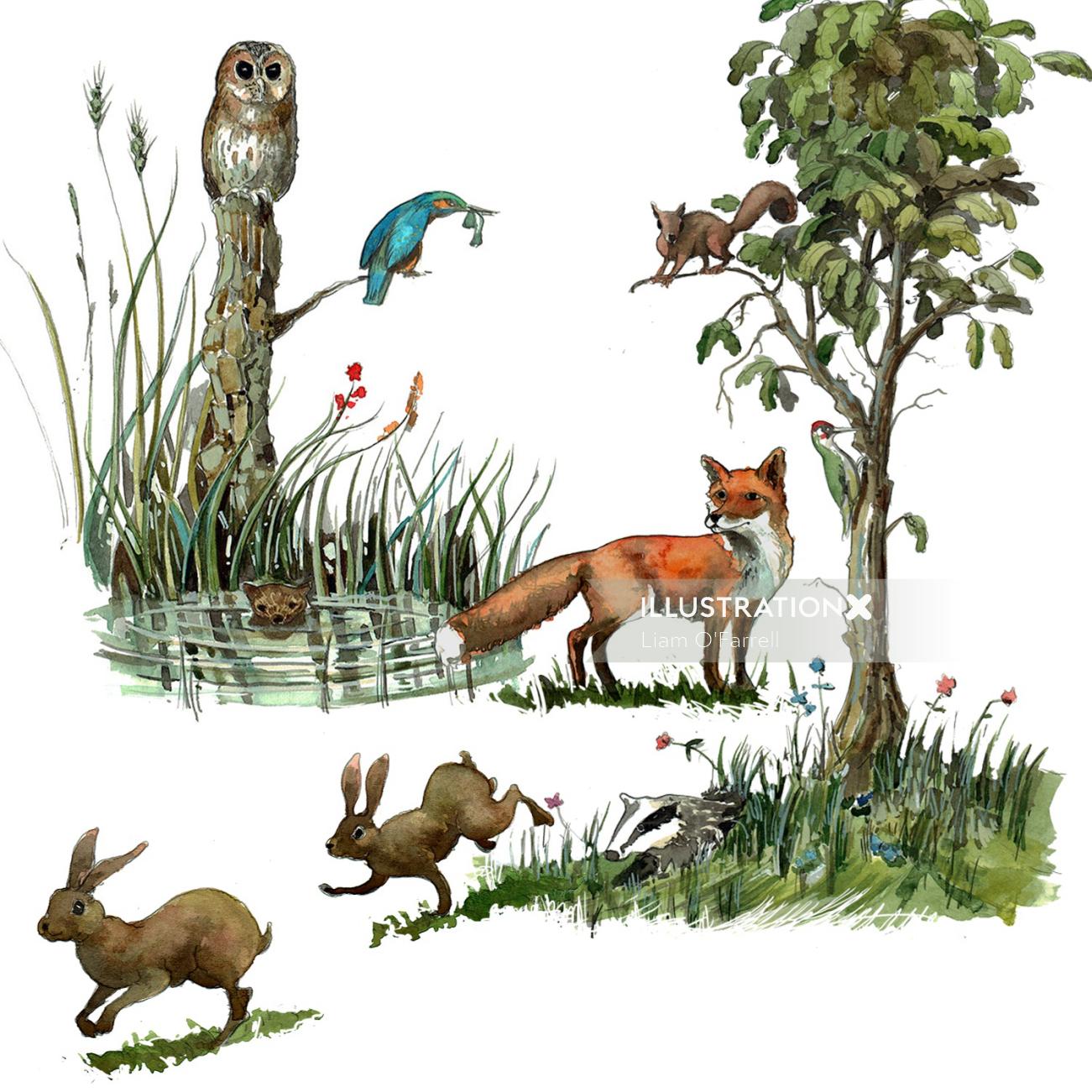 The illustration in line and watercolor of wild animals