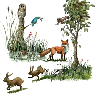 The illustration in line and watercolor of wild animals