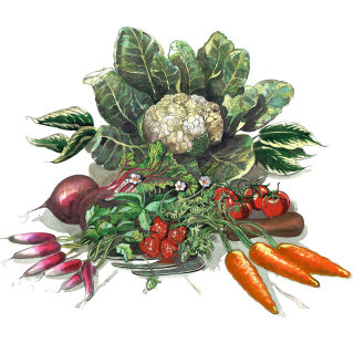 Selección de verduras en acuarela.