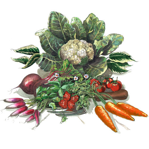 Selection of vegetables in watercolor