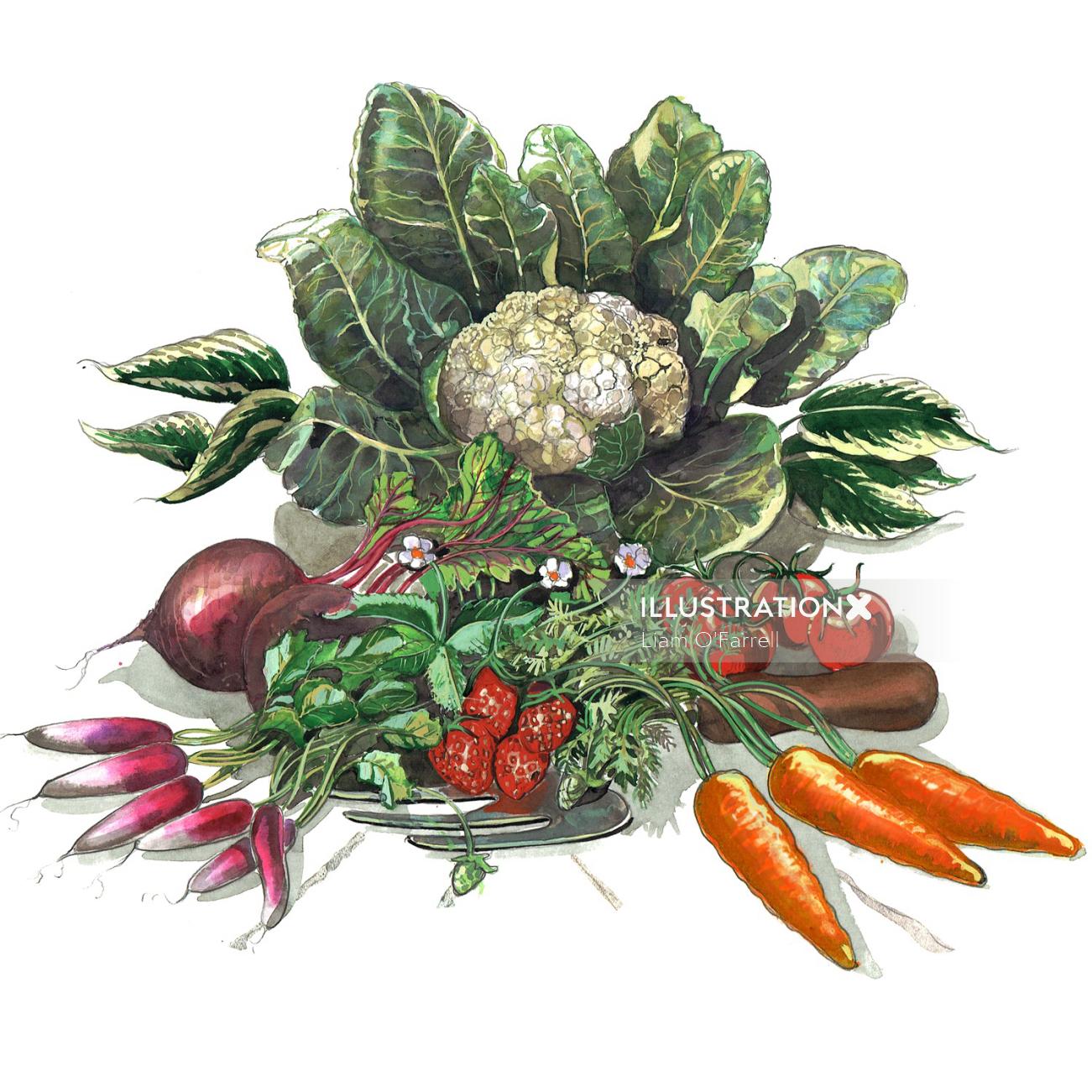 Vegetables watercolor painting