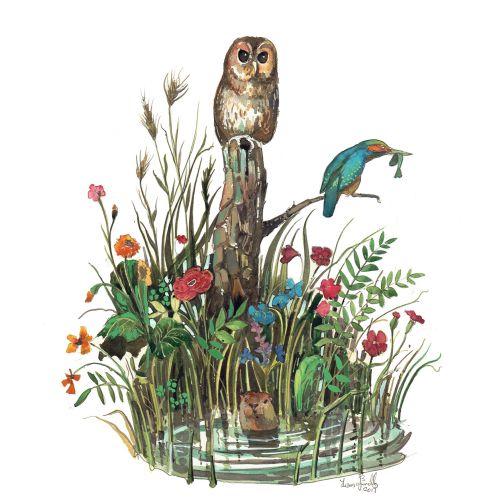 An illustration showing bird and animals around a pond