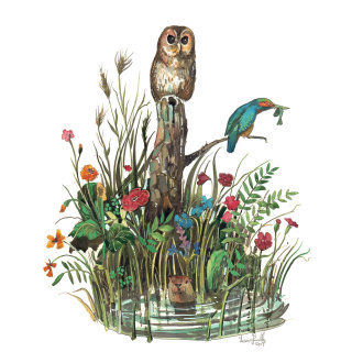 Una ilustración que muestra pájaros y animales alrededor de un estanque.
