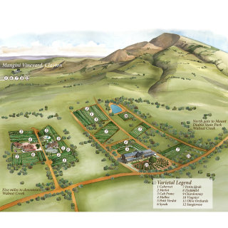Pintura de mapa do vinhedo Mangini, Clayton
