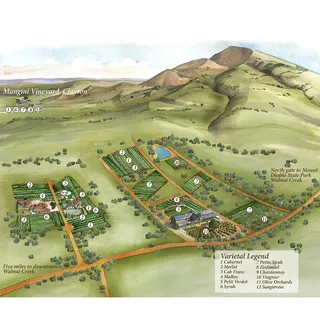 Map Painting of Mangini Vineyard, Clayton