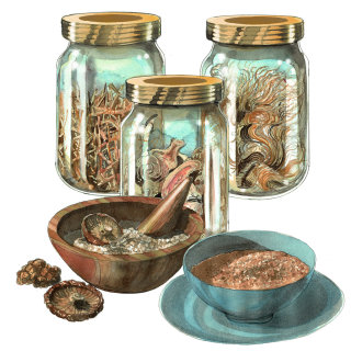 Cultivo de cogumelo em aquarela e ilustração de linha