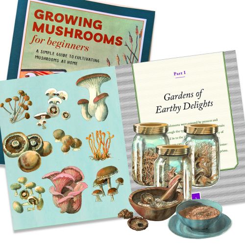 Book illustration of "Growing Mushrooms"