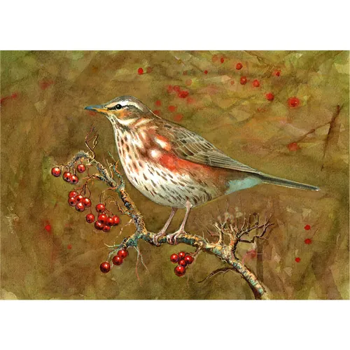 Painting of a Redwing bird perched on a berry branch by Liam O'Farrell
