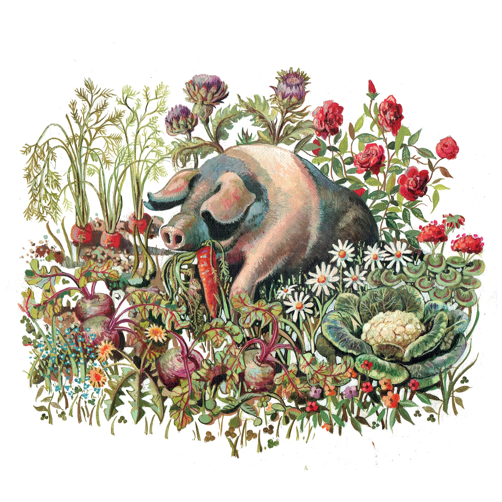 Saddleback pig among garden vegetables and flowers by Liam O'Farrell