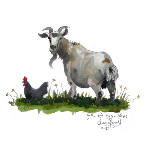 Une chèvre et un poulet peint France