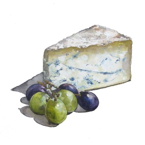 Watercolour of cheese and grapes