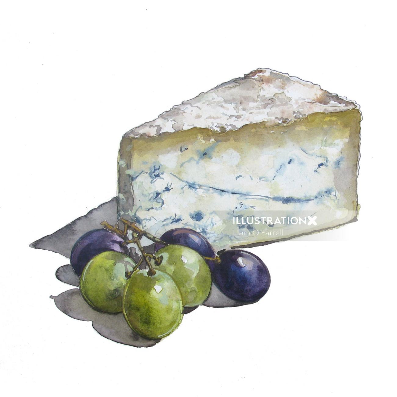 Watercolour of cheese and grapes