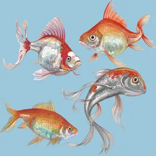 Illustration of Fishes