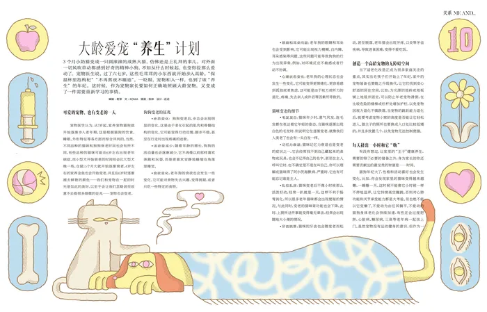 Two pets resting under a blanket surrounded by health and care icons