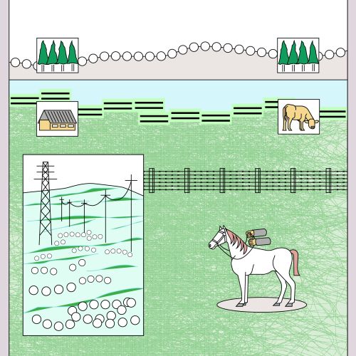 Landscape with horse, sheep, bear, fences, power lines, and trees
