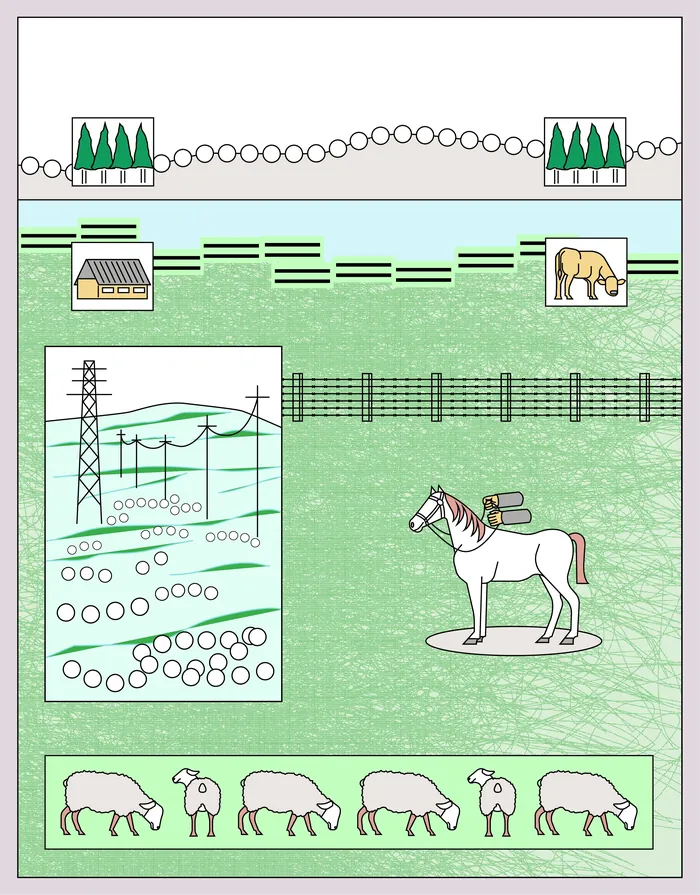 Landscape with horse, sheep, bear, fences, power lines, and trees