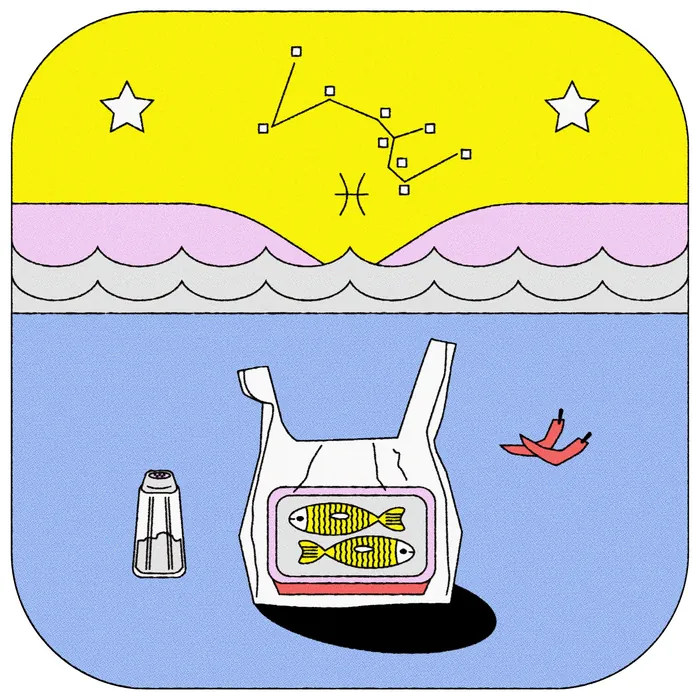 Pisces constellation with fish in plastic bag floating on water under starry sky