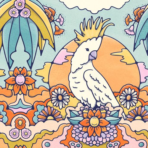 Australian cocktoo bird illustration. perched on a bed of bright coloured flowers, set again an oran