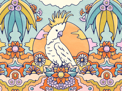 澳大利亚鹦鹉鸟插图。栖息在色彩鲜艳的花床上，再放一个奥兰