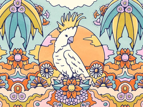 Australian cocktoo bird illustration. perched on a bed of bright coloured flowers, set again an oran