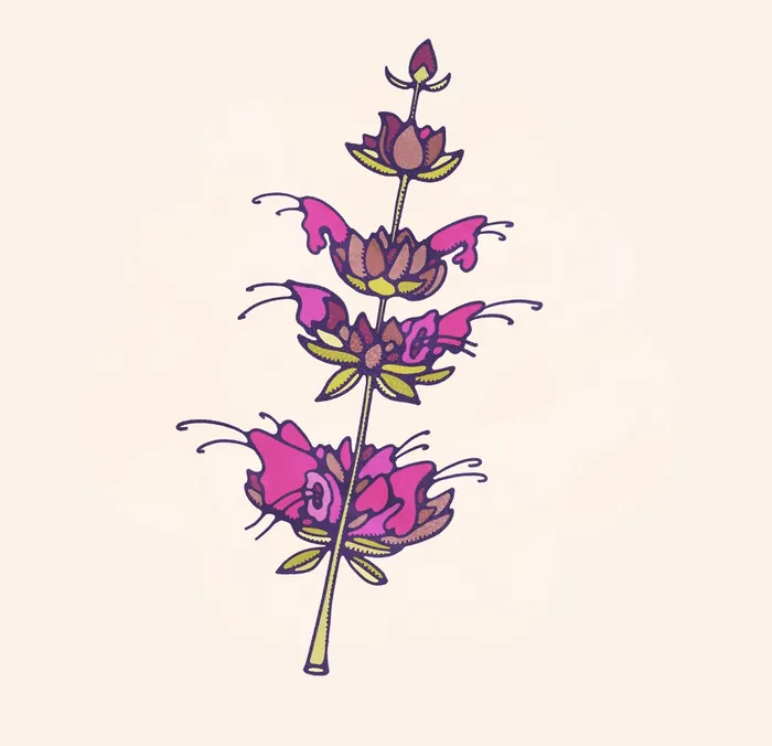 Illustration of a flower branch with purple blossoms on beige background