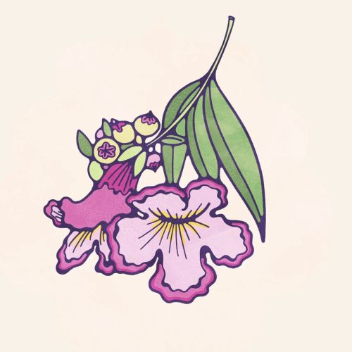 Drawing of pink and purple flowers with green leaves