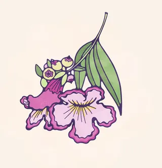 Drawing of pink and purple flowers with green leaves