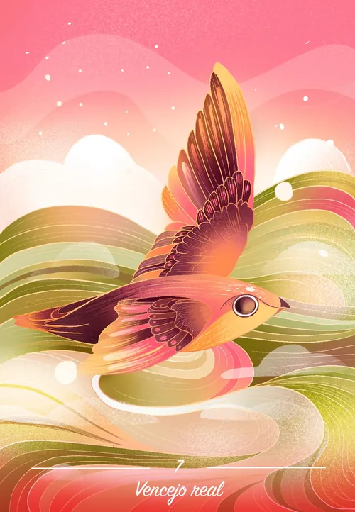 Vencejo real swift in flight, illustrated by Liz Merino