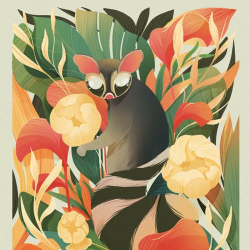 Cacomixtle surrounded by tropical foliage, illustrated by Liz Merino