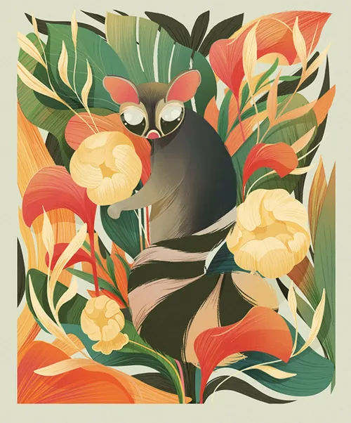 Cacomixtle surrounded by tropical foliage, illustrated by Liz Merino